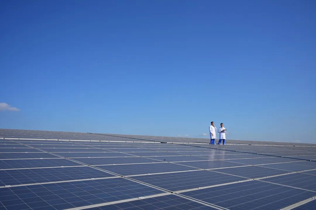 优发国际·随优而动一触即发